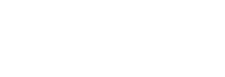 Northwind Logo White